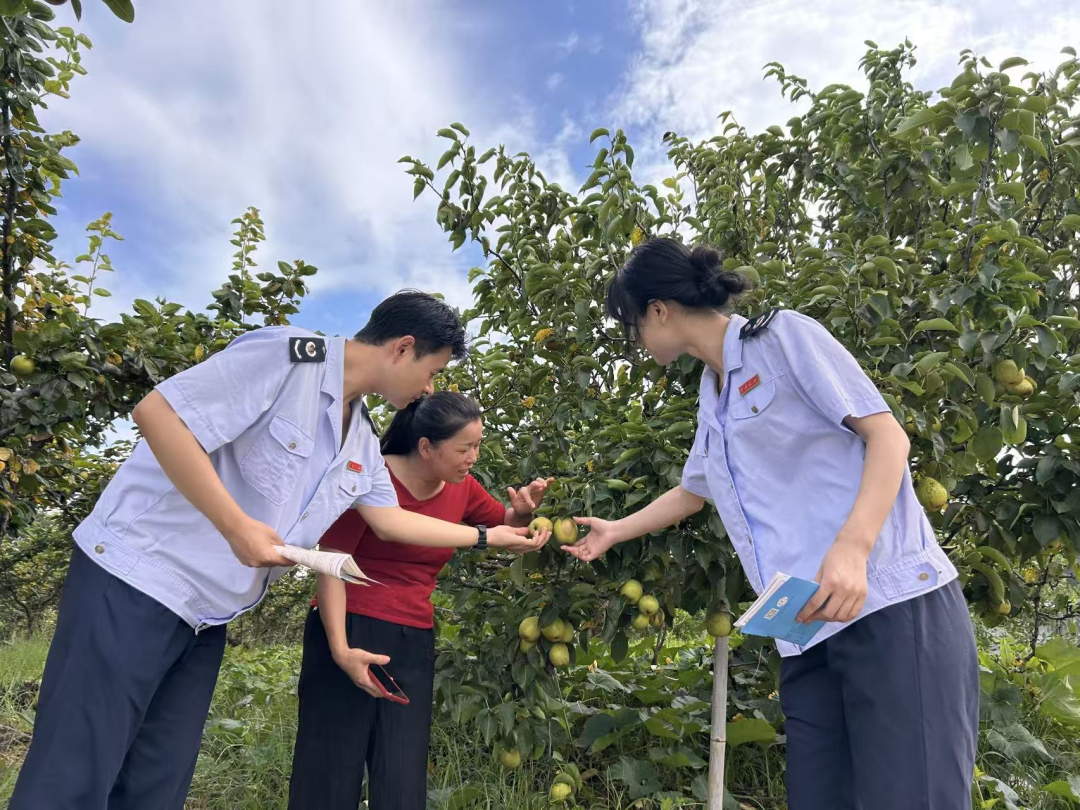 税务合规规范辅导(税务合规的规则体系)菏泽市