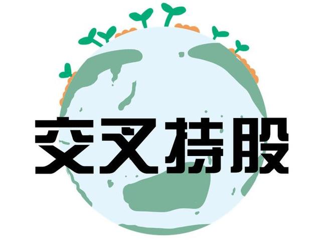 交叉持股安排设计(交叉持股怎么计算持股比例)菏泽市