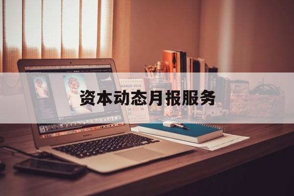 资本动态月报服务(资金月报表操作流程)菏泽市
