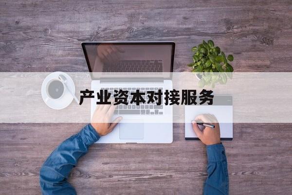 产业资本对接服务(产业资本对接服务包括哪些)菏泽市